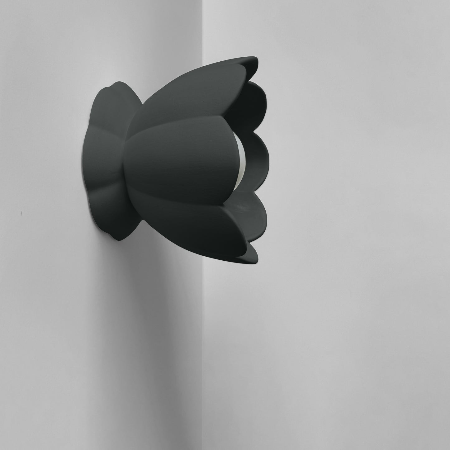 Vallea Wall Sconce | Small Floral Light Fixture | Shadow Charcoal Gray