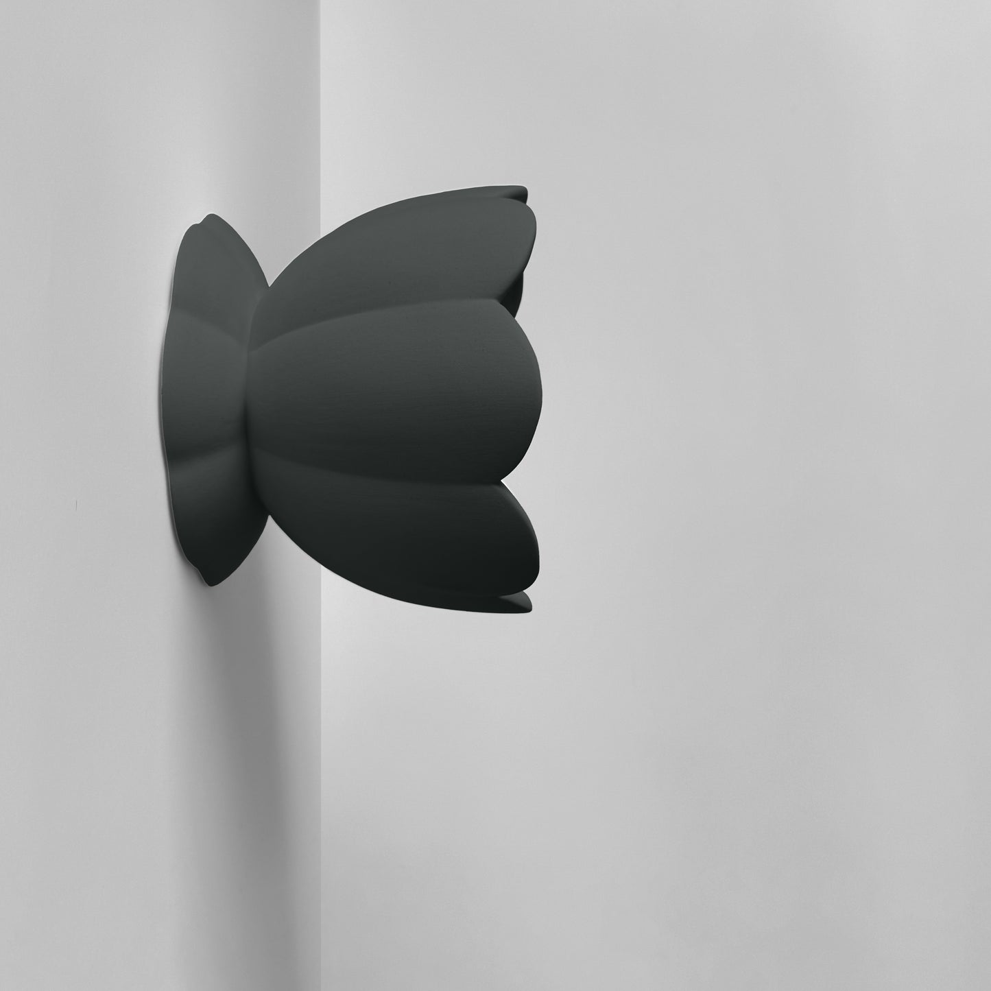 Vallea Wall Sconce | Small Floral Light Fixture | Shadow Charcoal Gray