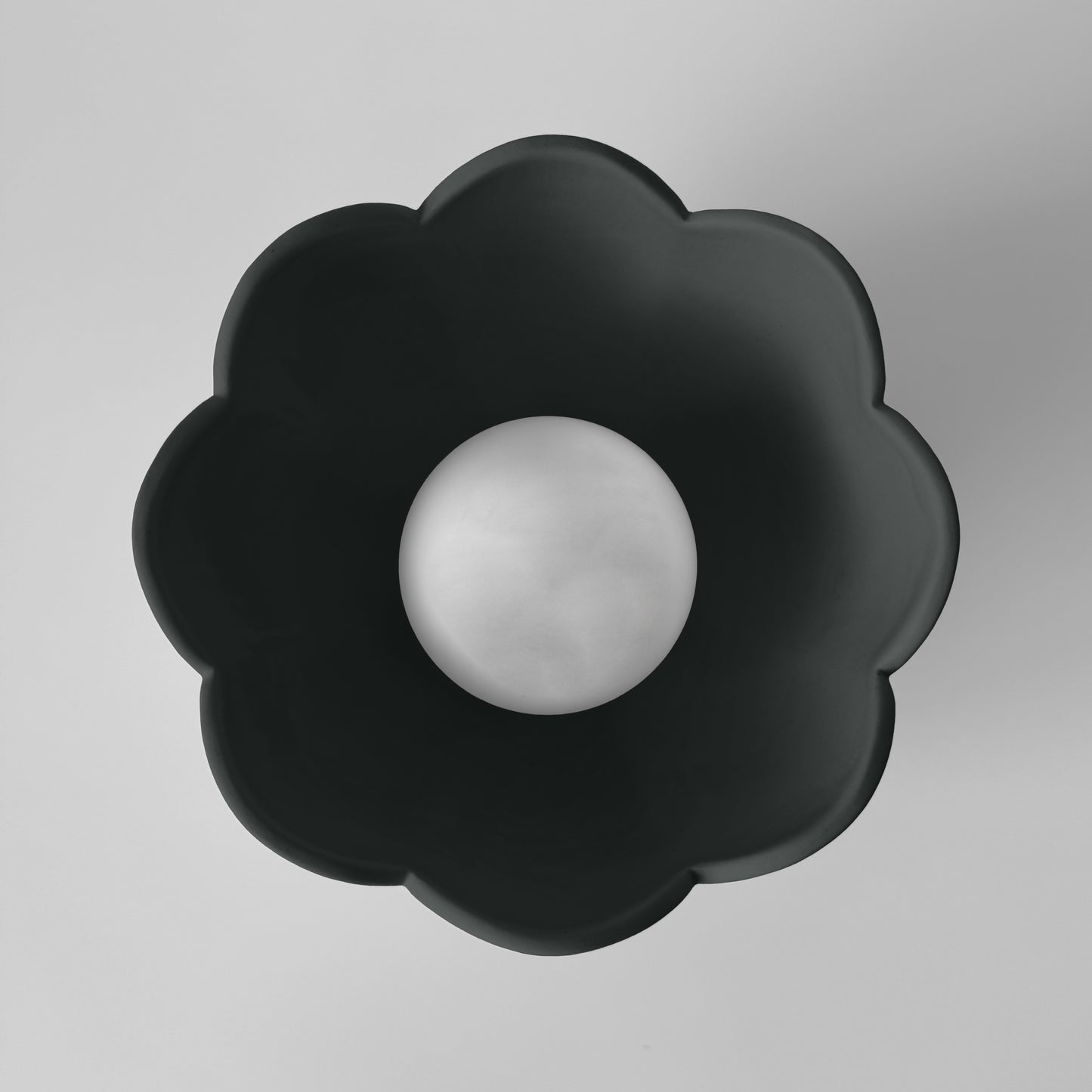 Vallea Wall Sconce | Small Floral Light Fixture | Shadow Charcoal Gray
